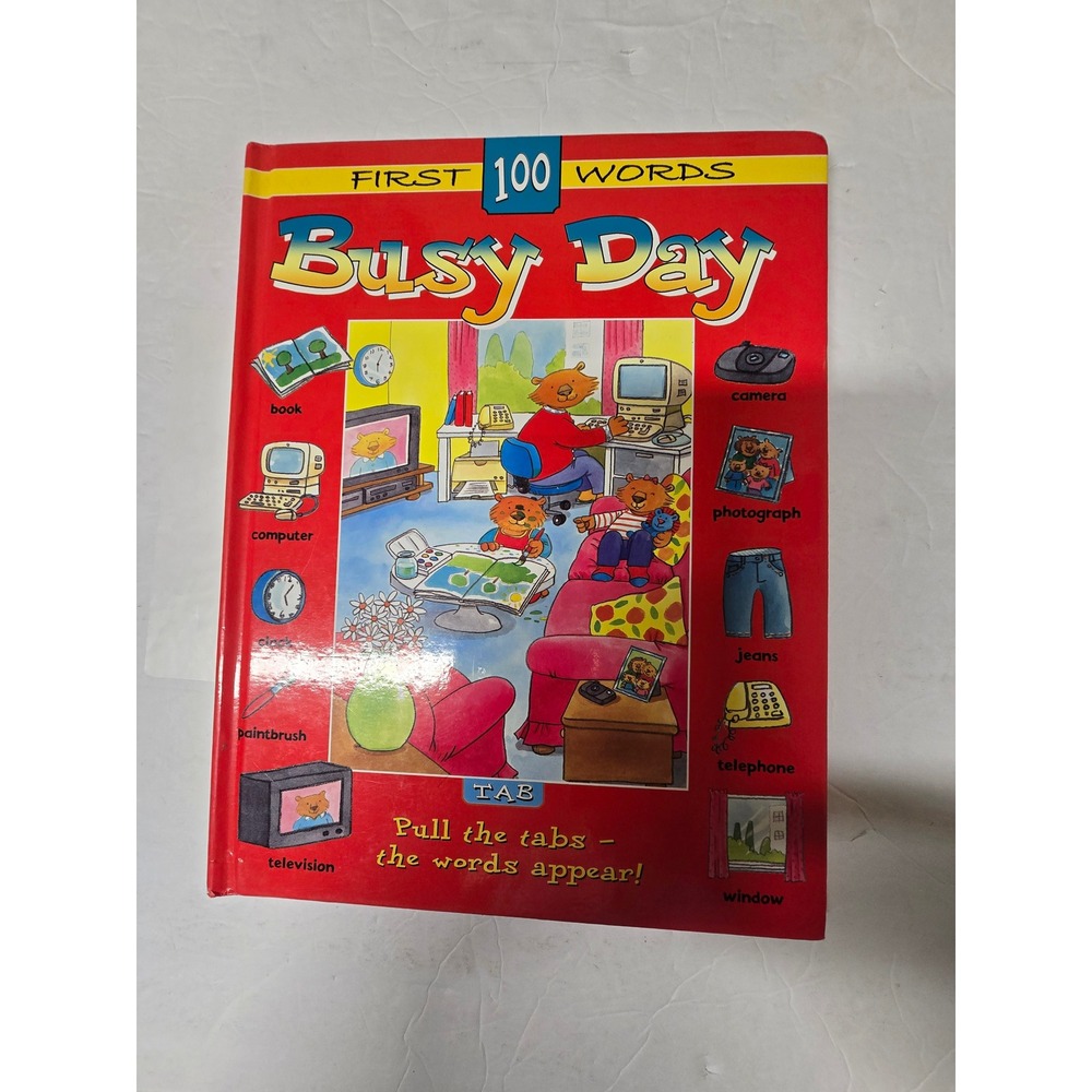 First 100 Words Busy Day Interactive Pull Tab Board Book ISBN 1902272366